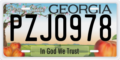 GA license plate PZJ0978