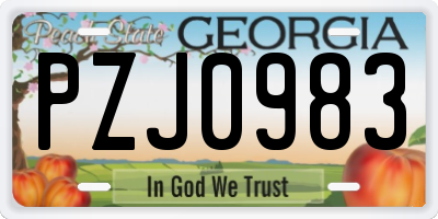 GA license plate PZJ0983