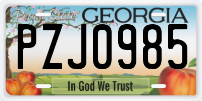 GA license plate PZJ0985