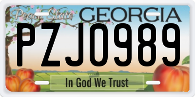 GA license plate PZJ0989