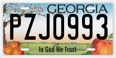 GA license plate PZJ0993