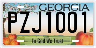 GA license plate PZJ1001