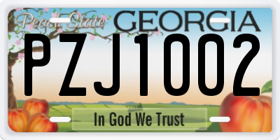 GA license plate PZJ1002