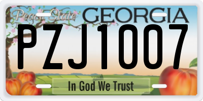 GA license plate PZJ1007