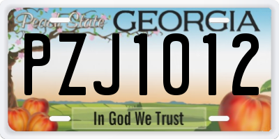 GA license plate PZJ1012