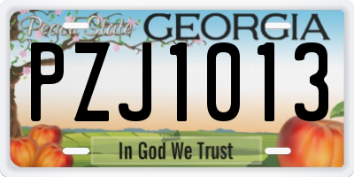 GA license plate PZJ1013