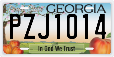 GA license plate PZJ1014