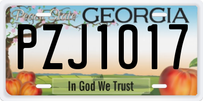 GA license plate PZJ1017