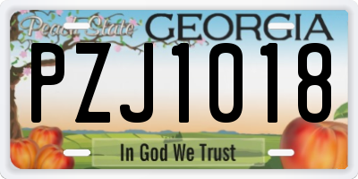 GA license plate PZJ1018