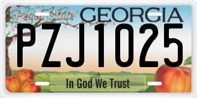 GA license plate PZJ1025