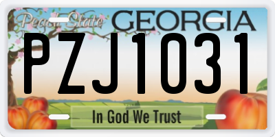 GA license plate PZJ1031
