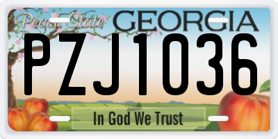 GA license plate PZJ1036