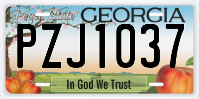 GA license plate PZJ1037