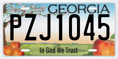 GA license plate PZJ1045