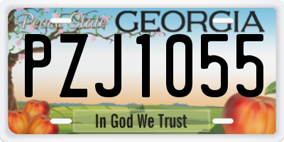 GA license plate PZJ1055