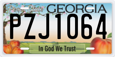 GA license plate PZJ1064
