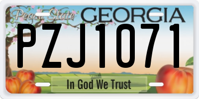 GA license plate PZJ1071