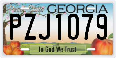 GA license plate PZJ1079