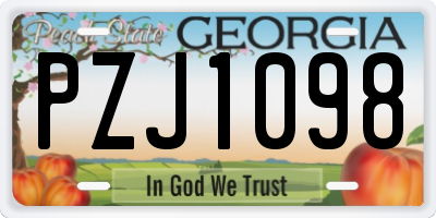 GA license plate PZJ1098