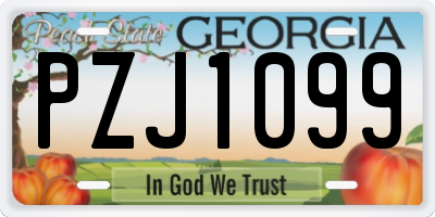GA license plate PZJ1099