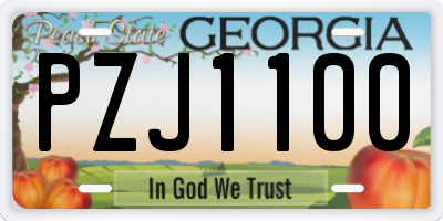 GA license plate PZJ1100