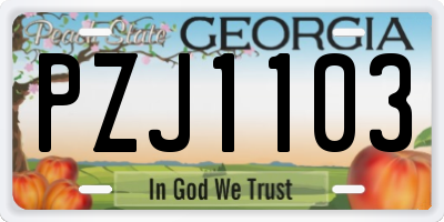 GA license plate PZJ1103