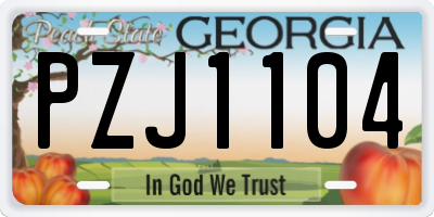 GA license plate PZJ1104