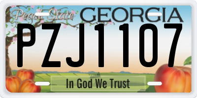 GA license plate PZJ1107