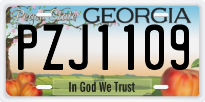 GA license plate PZJ1109