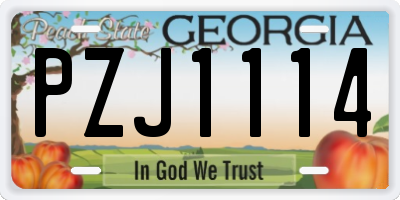 GA license plate PZJ1114