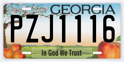 GA license plate PZJ1116