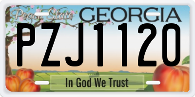 GA license plate PZJ1120