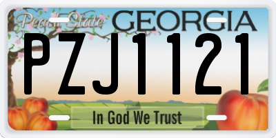 GA license plate PZJ1121
