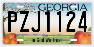 GA license plate PZJ1124