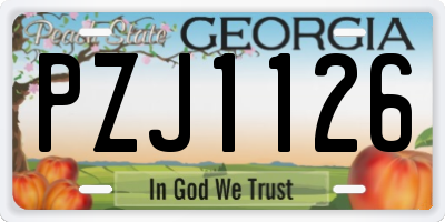 GA license plate PZJ1126