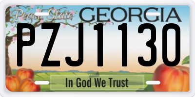 GA license plate PZJ1130