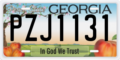 GA license plate PZJ1131