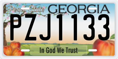GA license plate PZJ1133