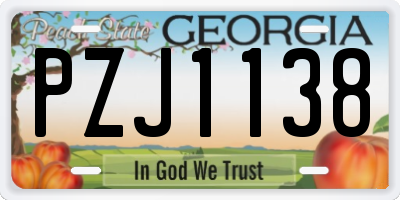 GA license plate PZJ1138