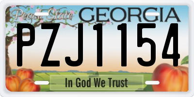 GA license plate PZJ1154