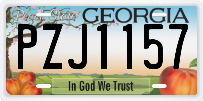 GA license plate PZJ1157