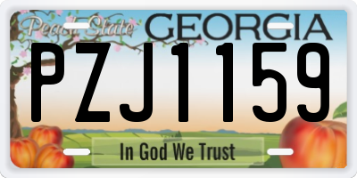 GA license plate PZJ1159