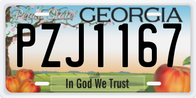 GA license plate PZJ1167
