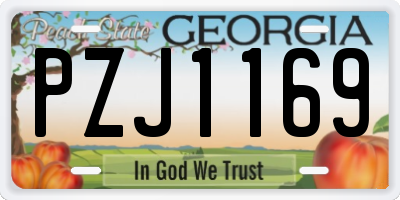 GA license plate PZJ1169