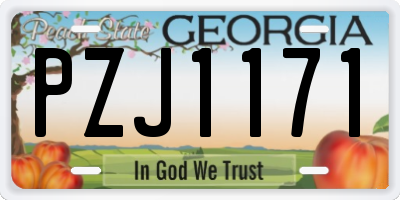 GA license plate PZJ1171