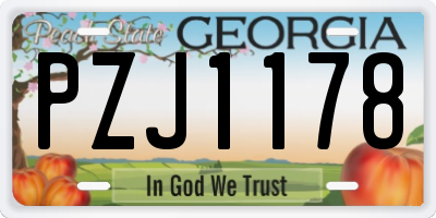 GA license plate PZJ1178
