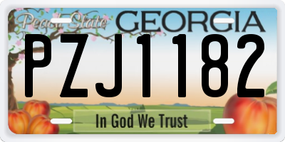 GA license plate PZJ1182