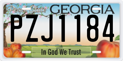 GA license plate PZJ1184