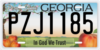 GA license plate PZJ1185