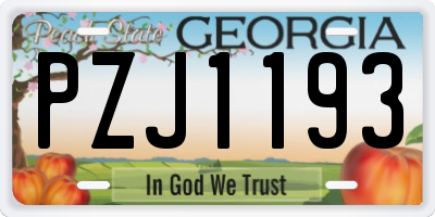GA license plate PZJ1193